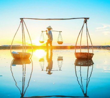 Tours and Sightseeing